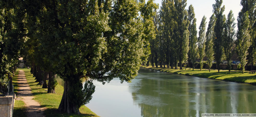 Sud Expertise & Audit Chevry-Cossigny