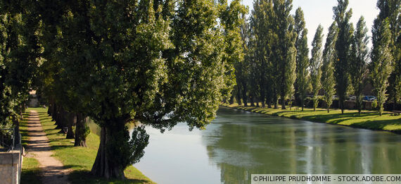 Sud Expertise & Audit Chevry-Cossigny